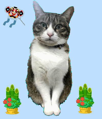 kotoyoro-sakunen-chiko-ani